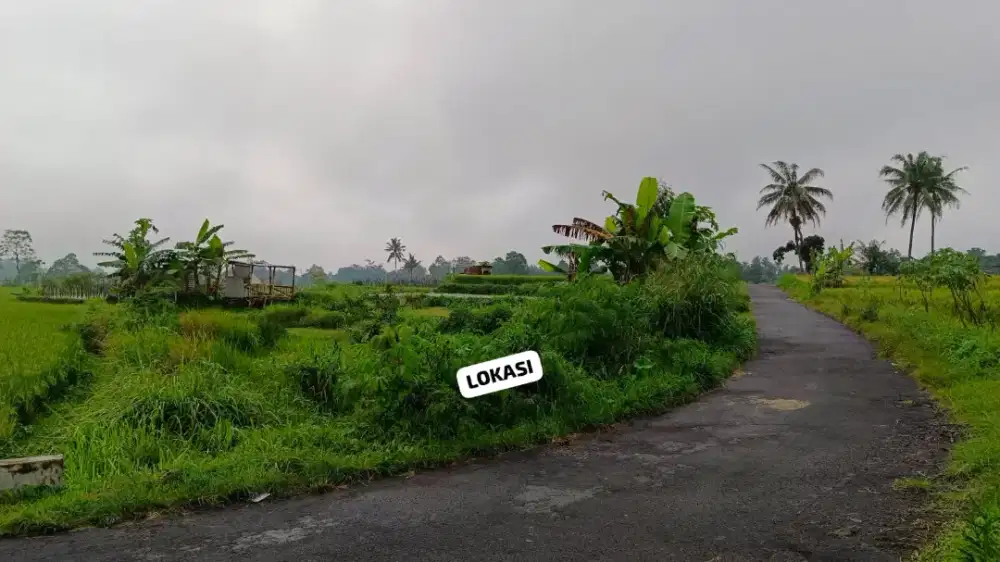 Tanah Sawah Tepi Aspal area Widodomartani sleman dijual murah