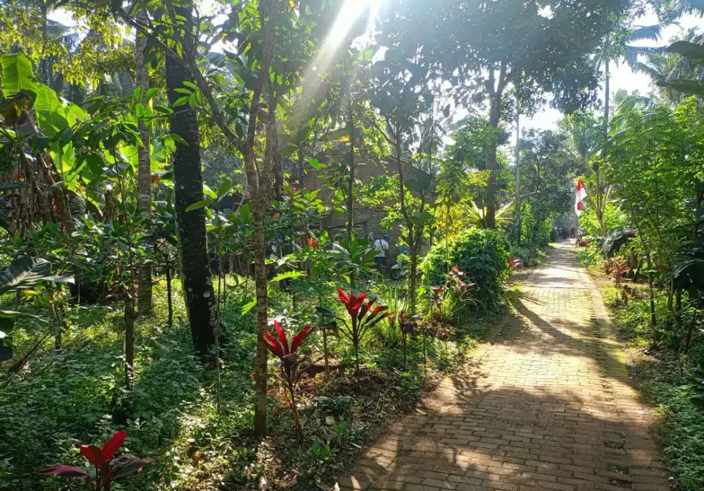 Kebun Gombengsari 1695m, Akses Roda 4, 250rb/m