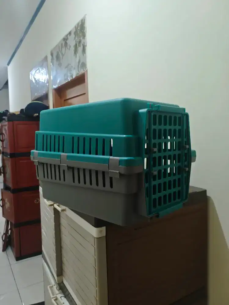 JUAL PET CARGO KUCING