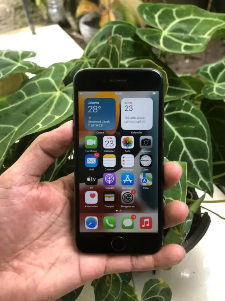 iPhone 8 64 GB all operator ex inter