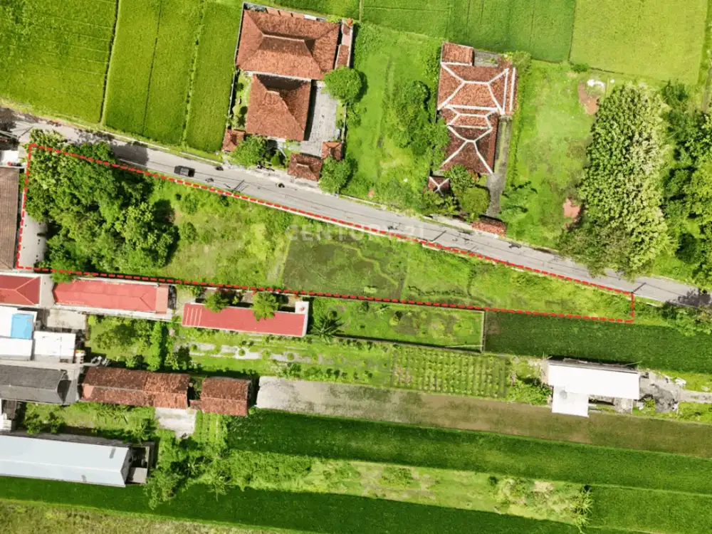 Tanah 1140m2 Di Dekat Candi Prambanan Cocok Untuk Guest House