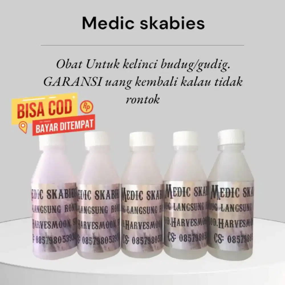 Obat budug skabies kapuran pada hewan
