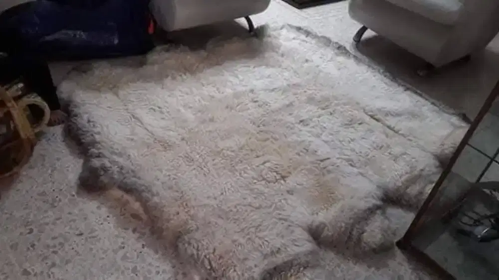 Karpet Bulu Domba Australia