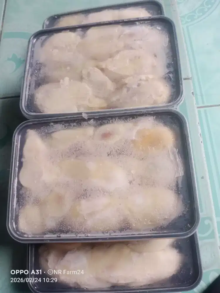 Durian Kupas Medan 500gram