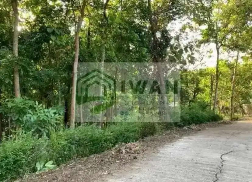 Tanah Pekarangan Strategis Dekat Jalan Raya Lintas Desa