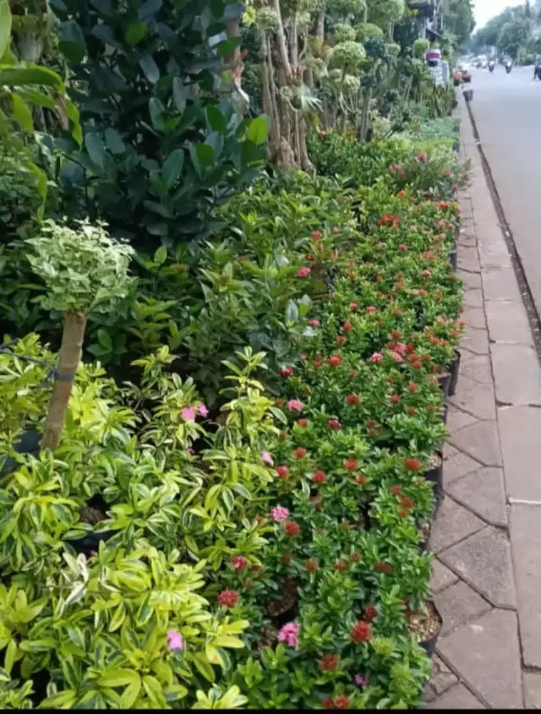 Perawat taman amanah