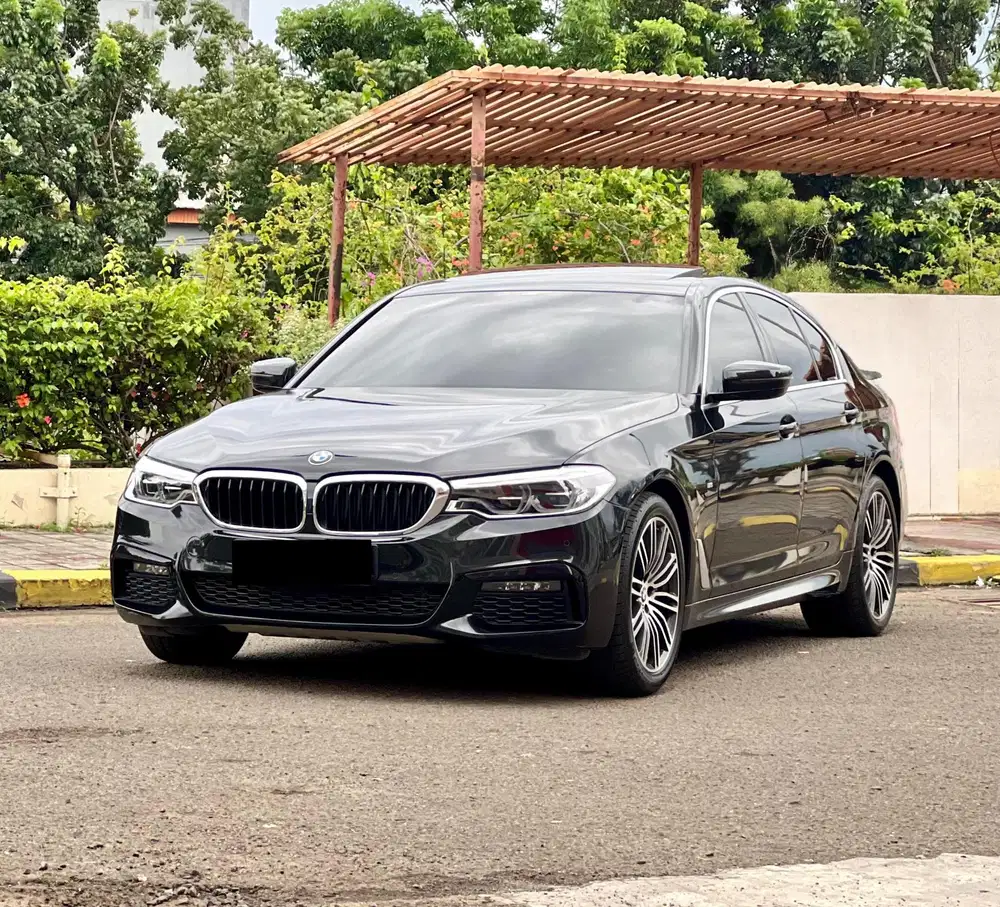2019 BMW 530i 2.0 M Sport G30 - LOW KM