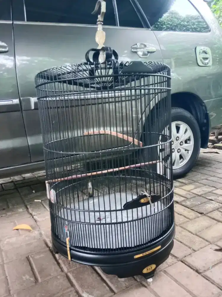 Kandang murai BnR pvc no.2