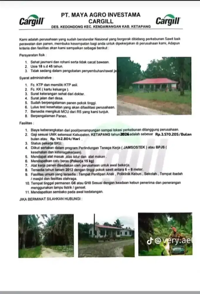 Loker panen sawit di kalimantan