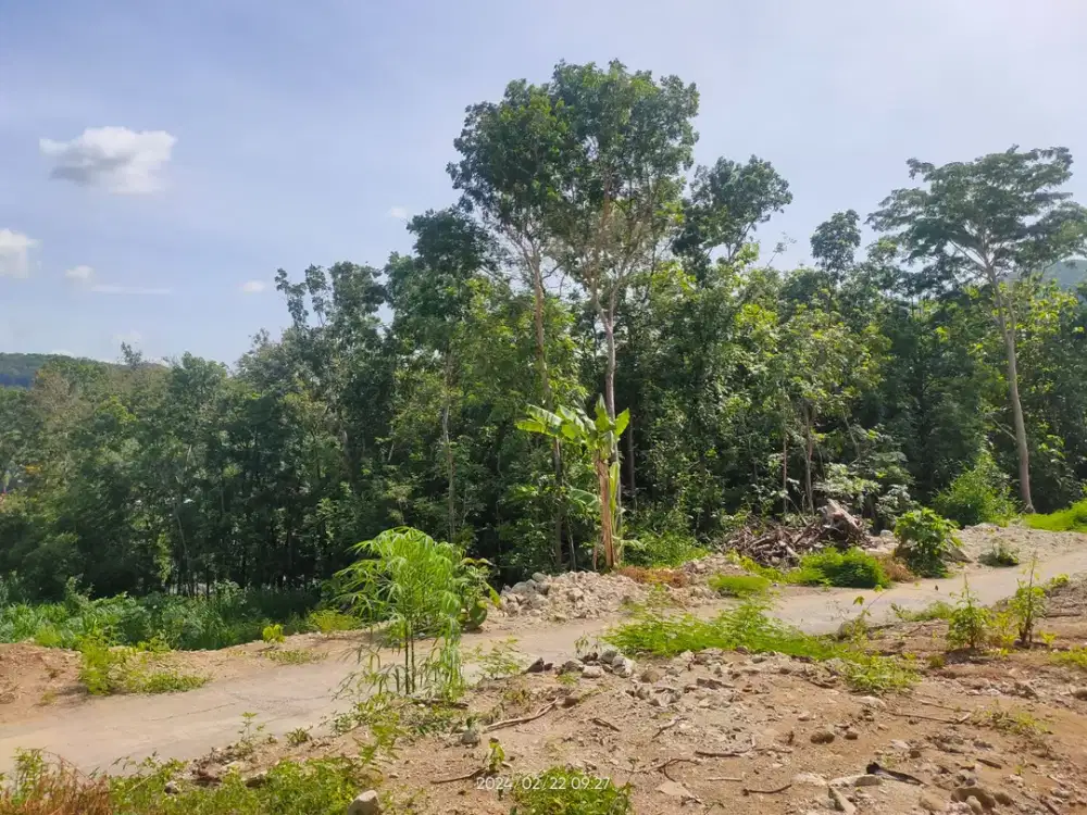 Tanah Suasana Asri, Tenang di Pleret Bantul