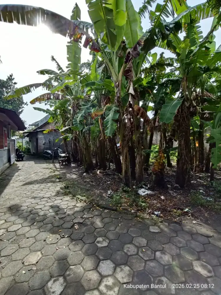 Tanah murah dekat banget ke kampus ISI Sewon Bantul Yogyakarta