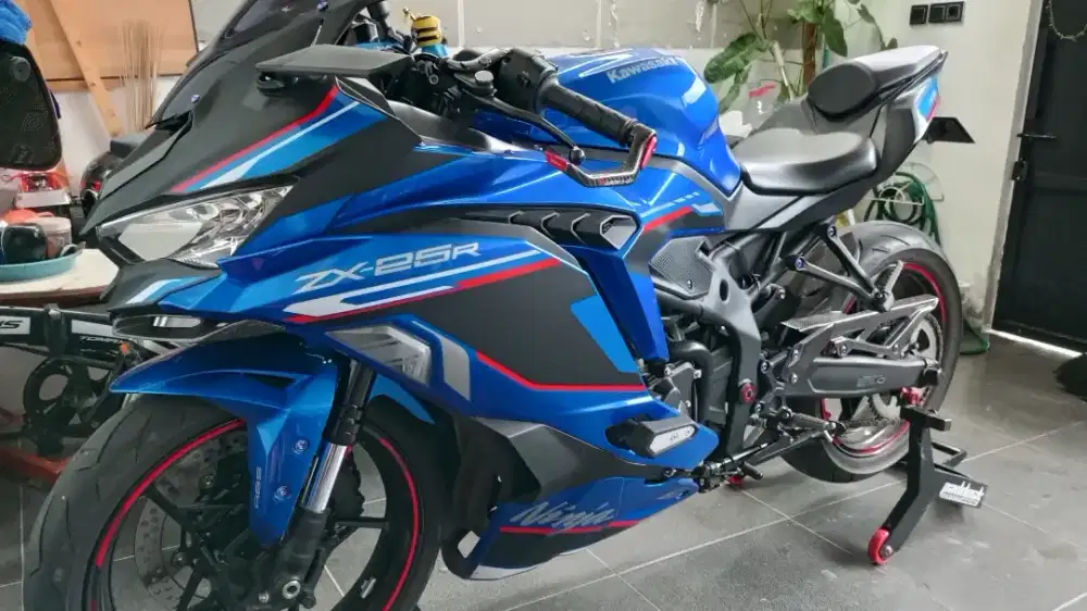 Kawasaki ZX 25R