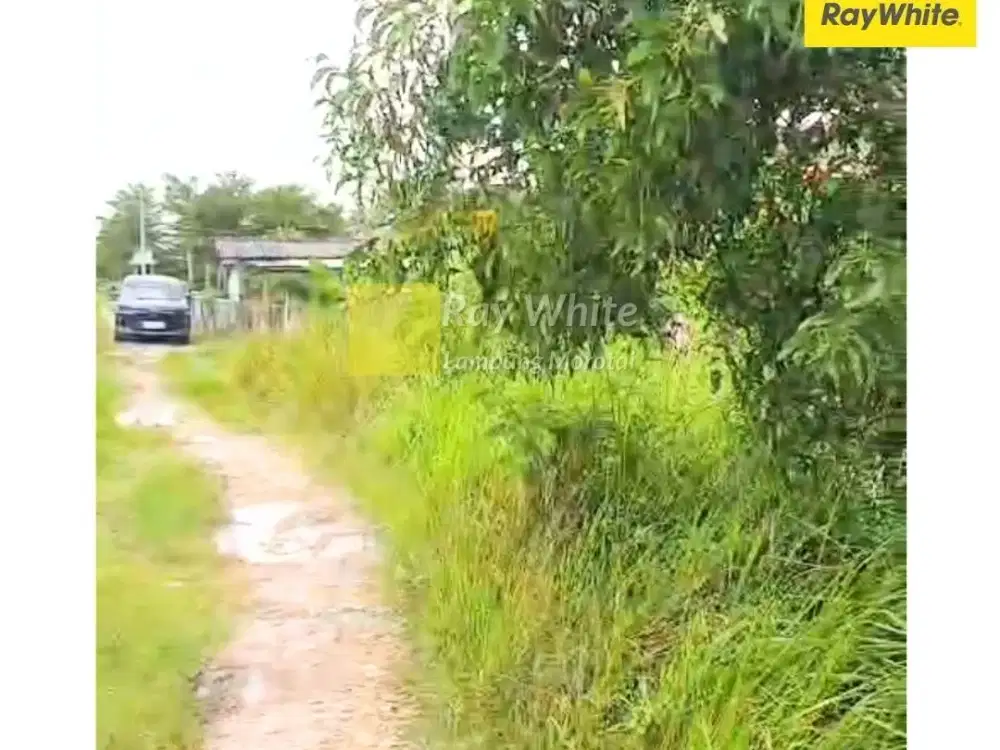 Dijual Tanah Di Bandar Agung, Palas, Lampung Selatan (Kode : Ber 3480)