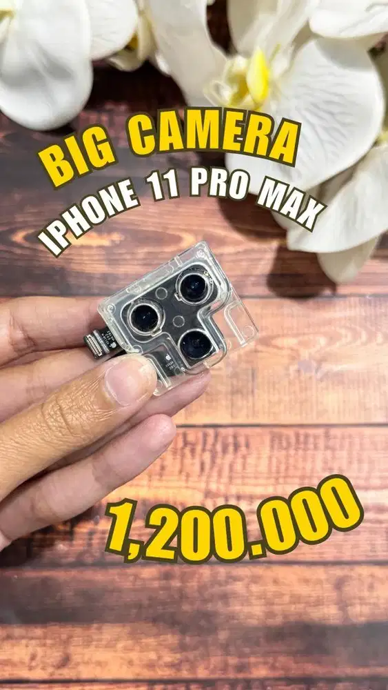 Kamera Belakang iPhone 11 / 11 Pro / 11 Pro Max (25/2/26)