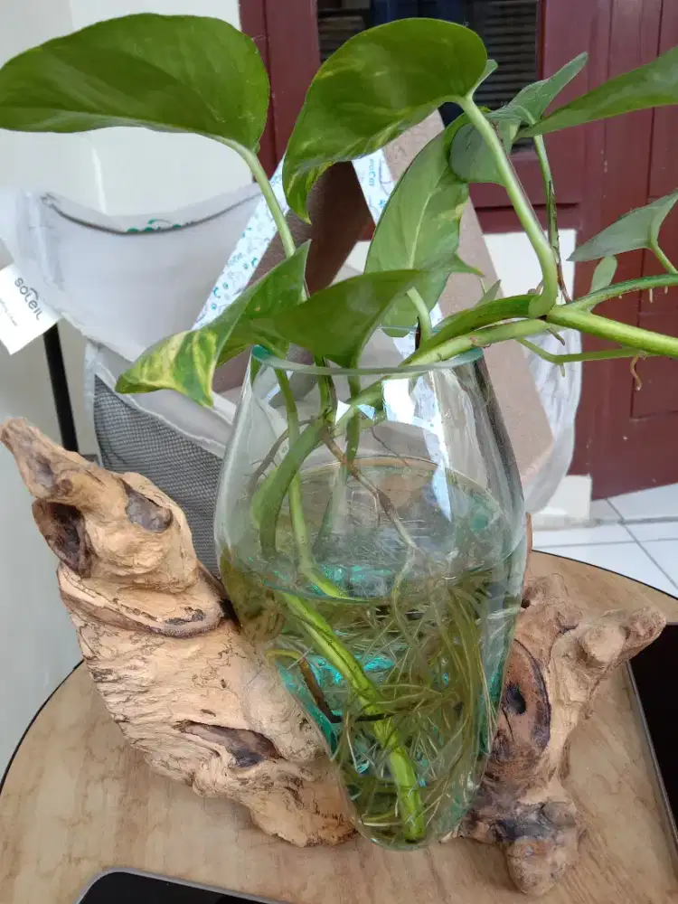 jual vas kembang antik