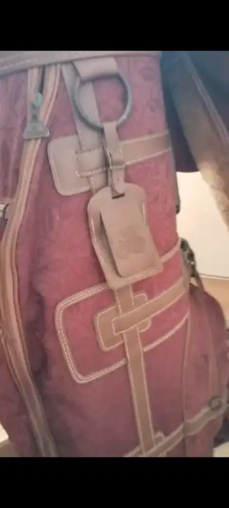 Stik golf lengkap dengan tas