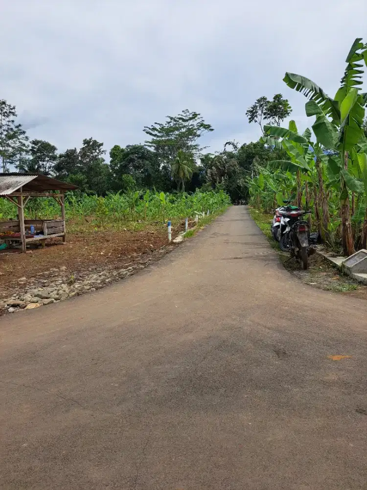 TANAH DIJUAL CARIU TURUN HARGA 350 RIBU PERMETER ( SHM )