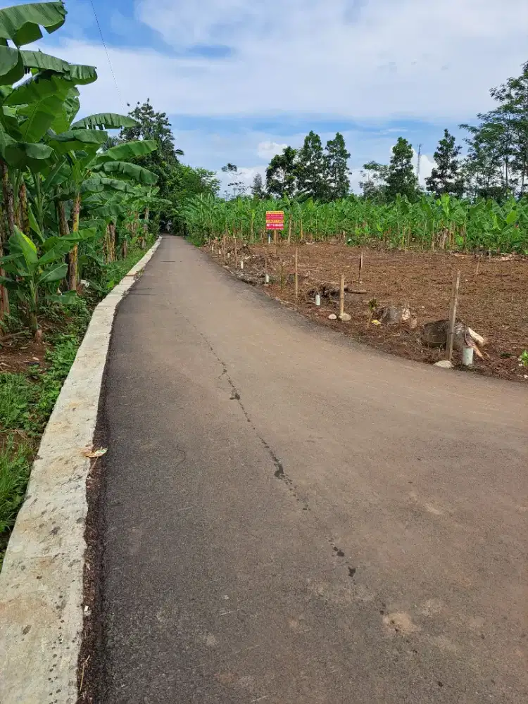 TANAH SHM DIJUAL CEPAT BU  TURUN HARGA 350 RIBU PERMETER CARIU BOTIM