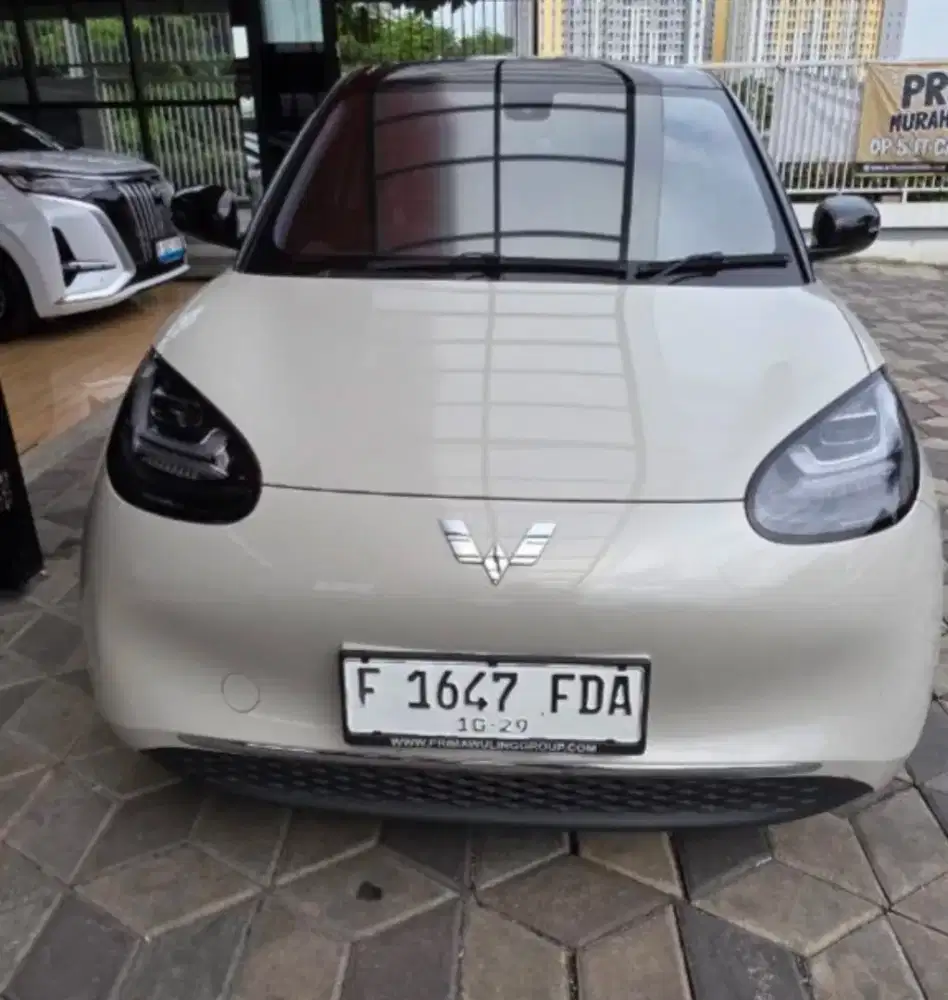 Binguo prem km20 dp20