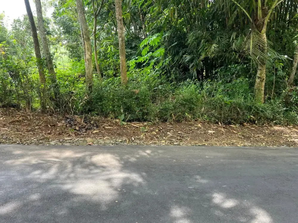 Tanah 250 Juta Timur Pasar Mojogedang, Karanganyar