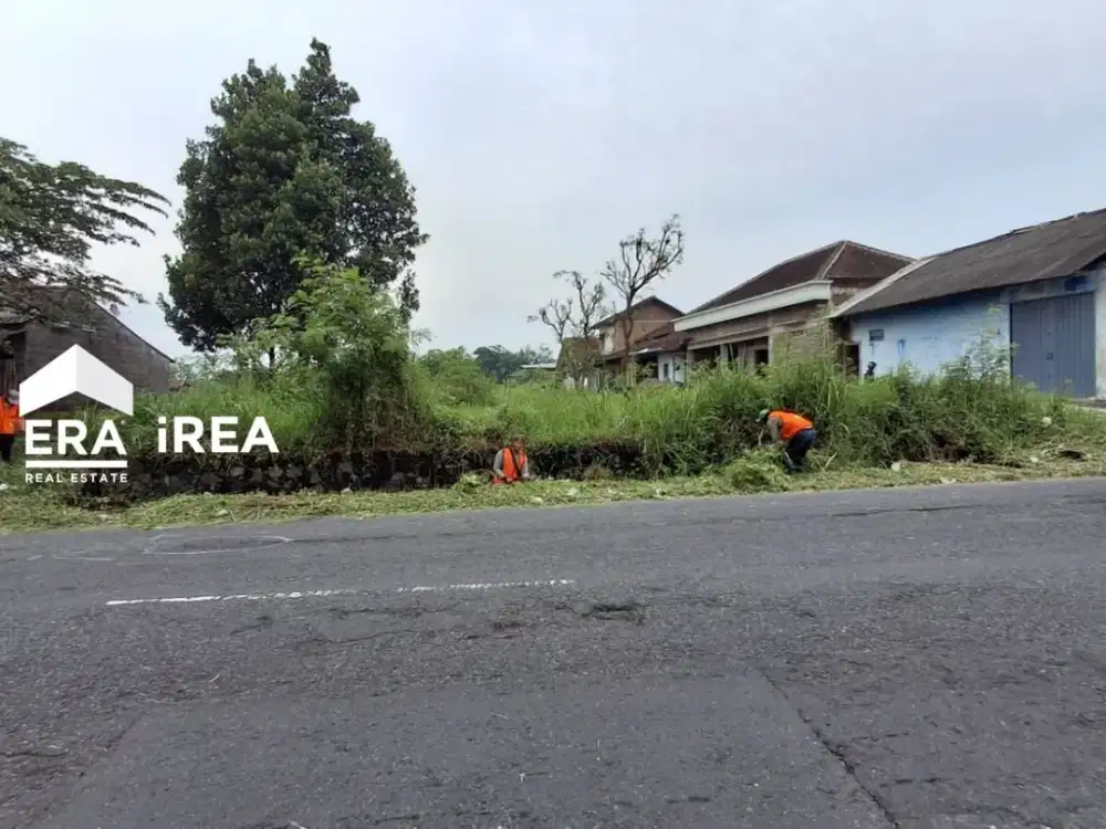TANAH DISEWAKAN DI JOGJA DEKAT DENGAN KAMPUS UII DAN TK AL AZHAR CAIRO
