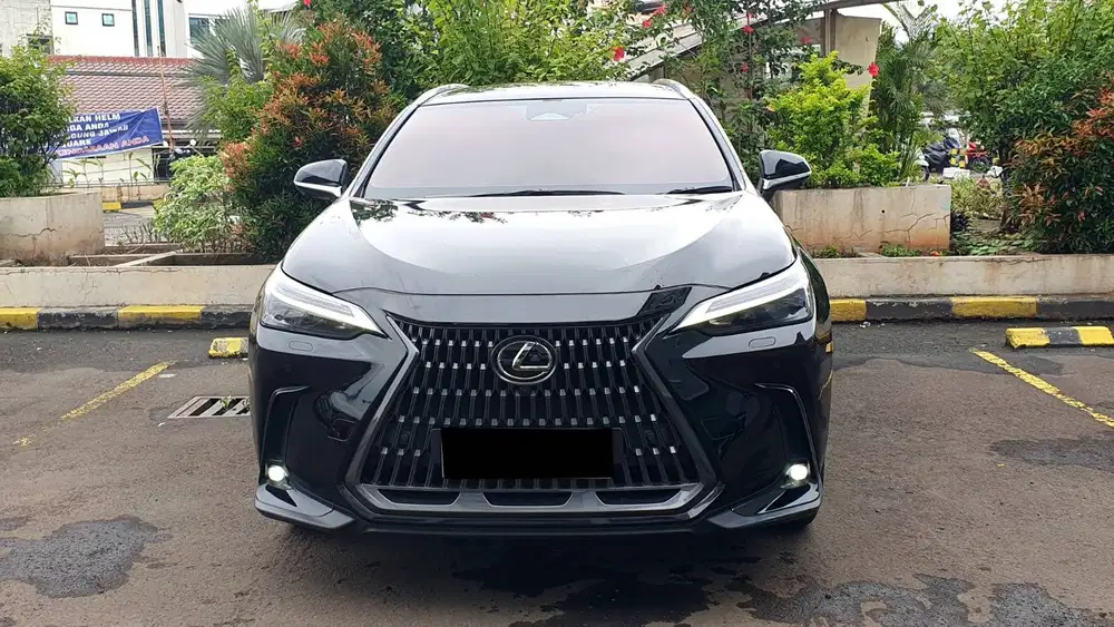 Lexus NX250 NX 250 Luxury AT Hitam NIK 2023 Like New Low Km Record