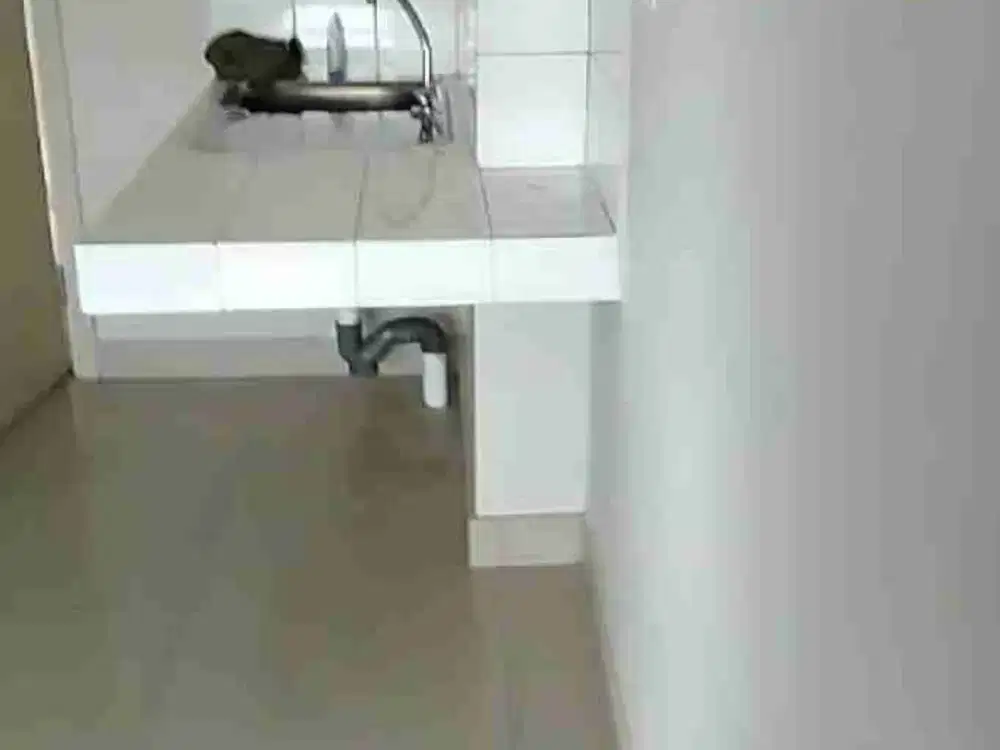 sewa 2br kosongan apartemen springlake Summarecon Bekasi,Bekasi utara