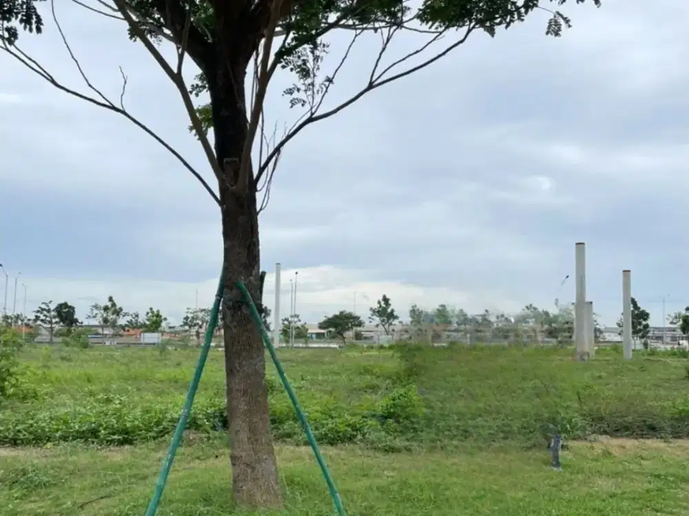 Dijual Kavling PIK Golfisland Uk 8x25m2 Jarang Ada at Jakarta Utara