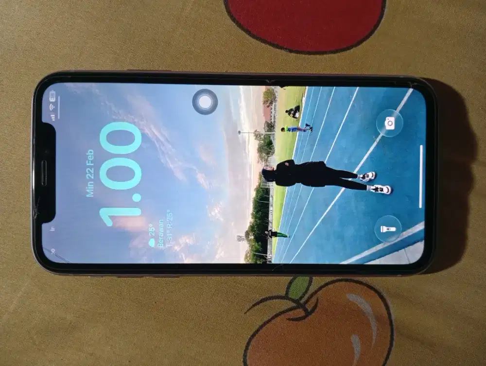 Iphone 11 128GB Purple