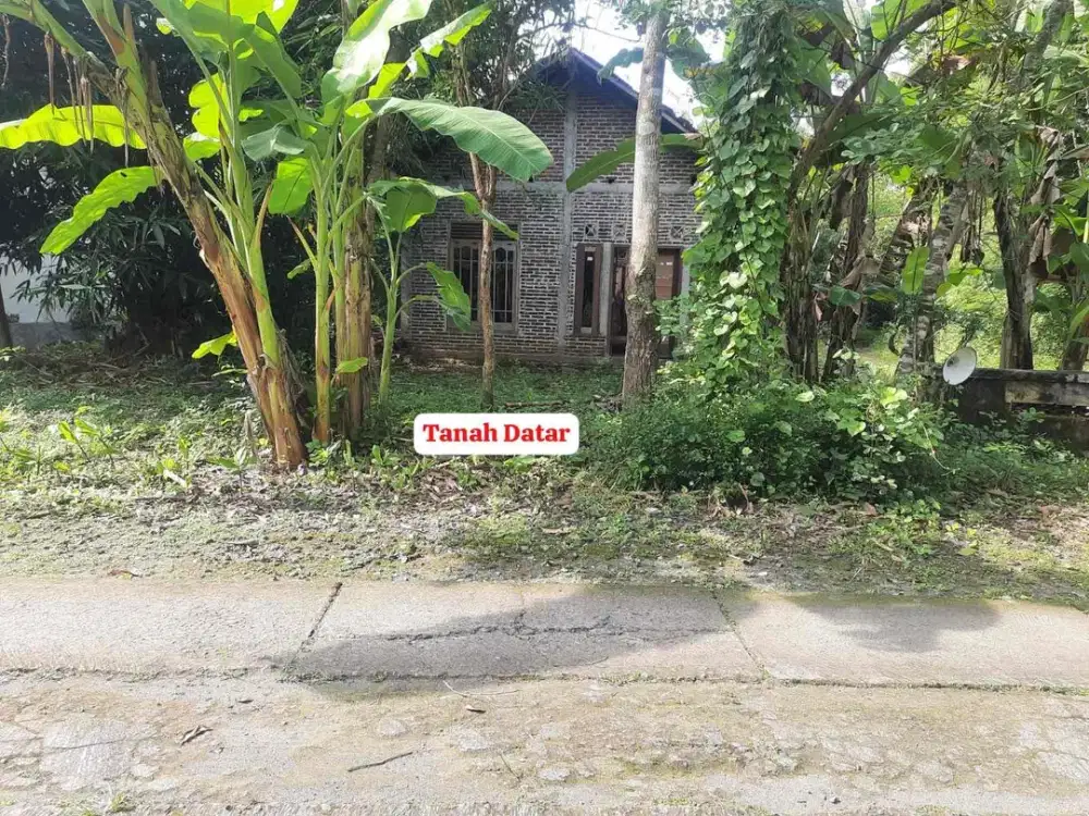Dijual Tanah Bonus Rumah Dekat Pasar Sentolo