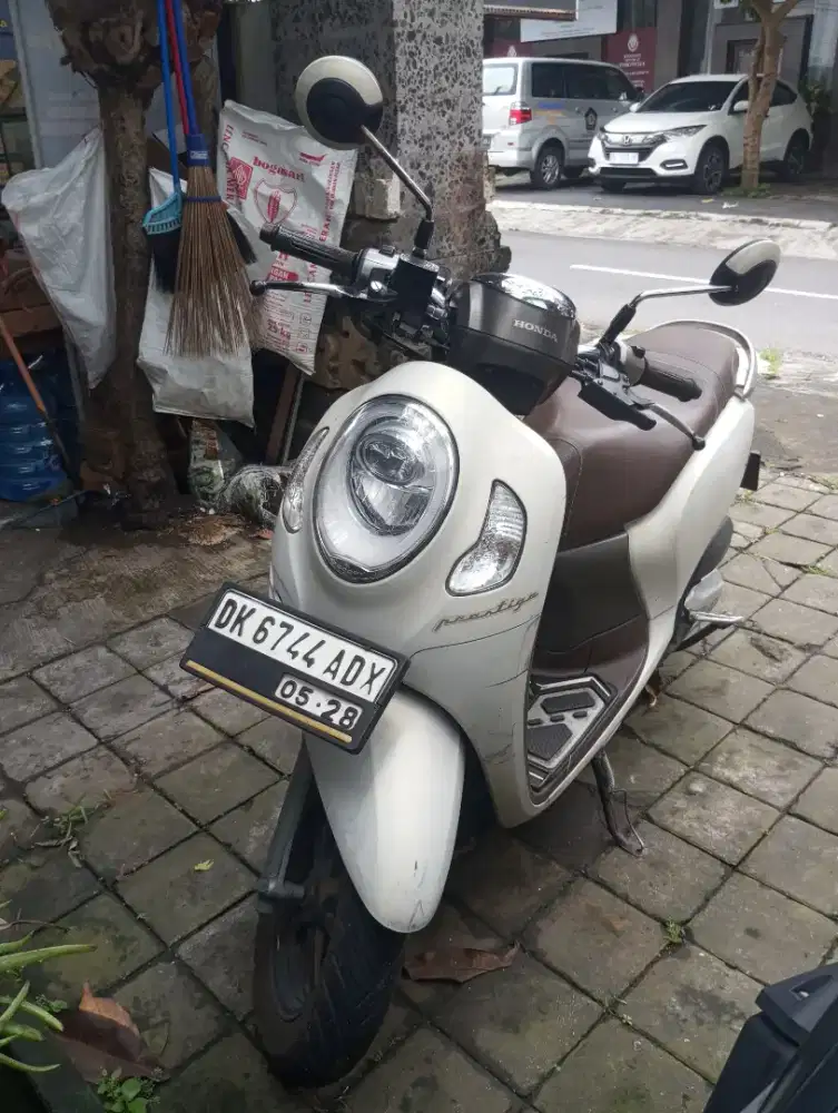 Scoopy Prestige 2023 White