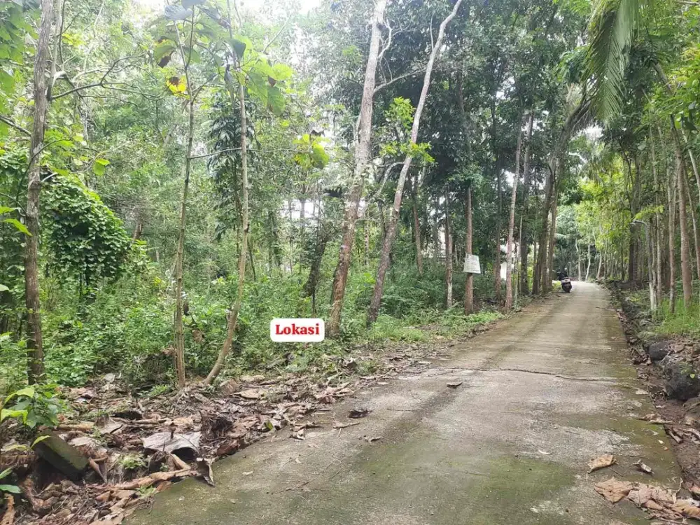 Dijual Tanah Murah di Cerme Dekat SMA1 Panjatan Kulonprogo