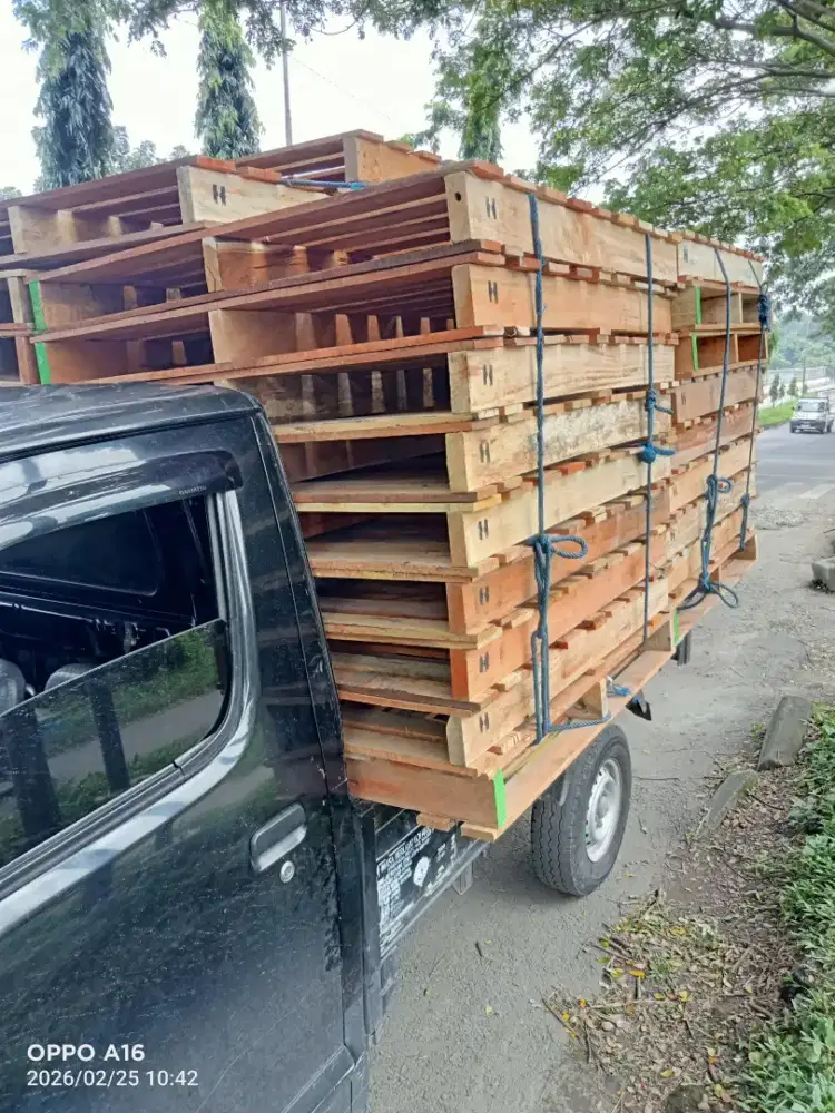 Palet kayu Ayah palet semarang