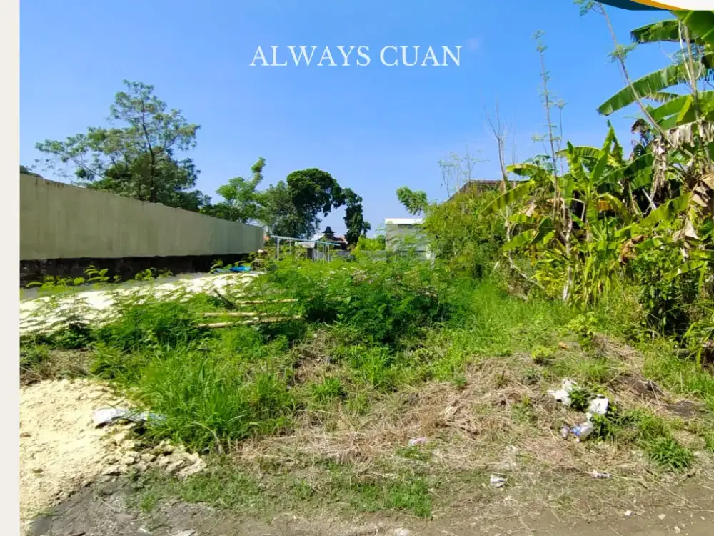 Tanah Siap Bangun Area Canggu