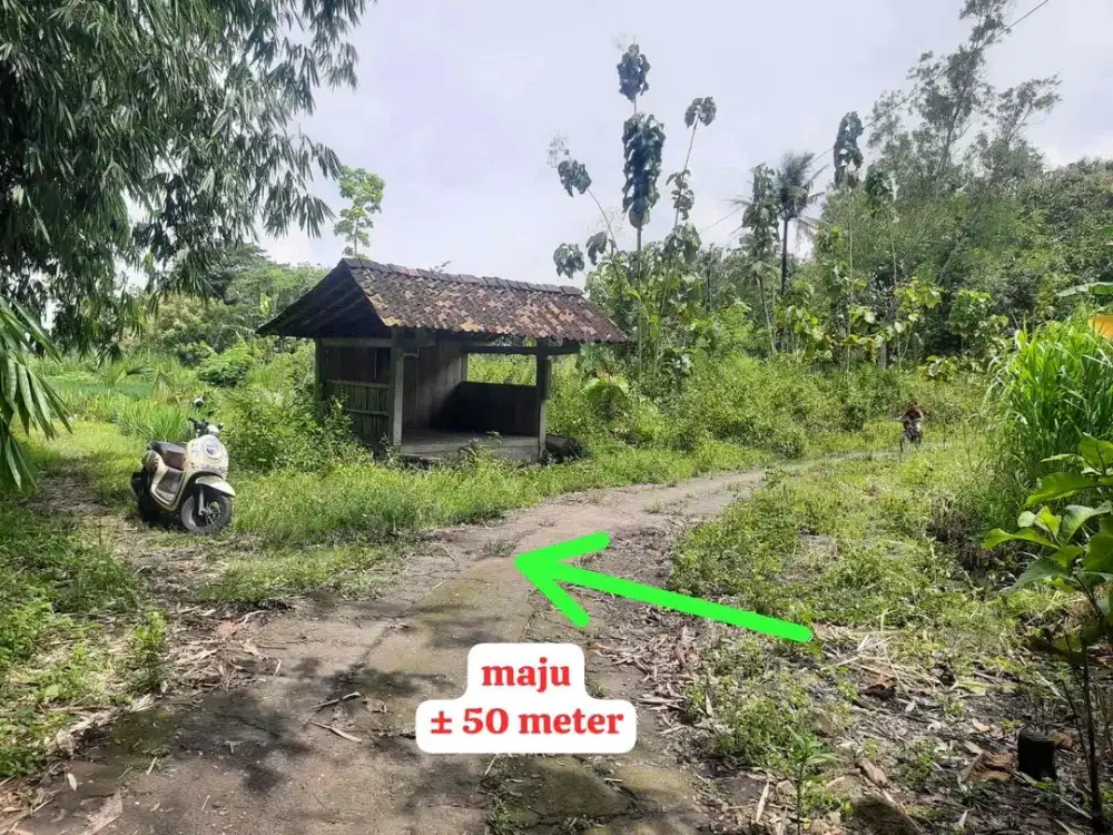 Dijual Tanah Murah SHM Pekarangan di Sentolo Kulonprogo