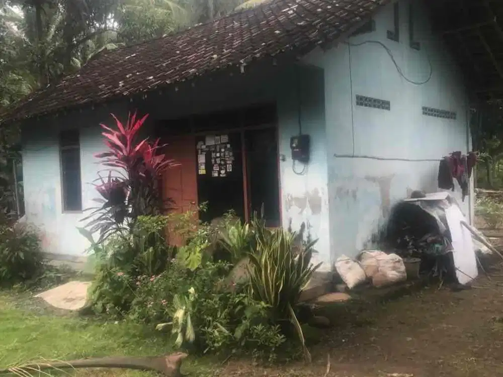 Dijual Tanah Bonus Rumah Sederhana Dekat Bandara YIA