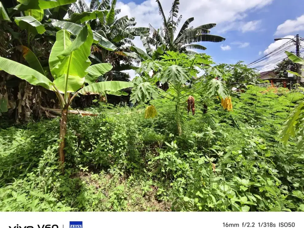 Dijual Kavling Akasia Taman Royal 3 luas 1150 m SHGB