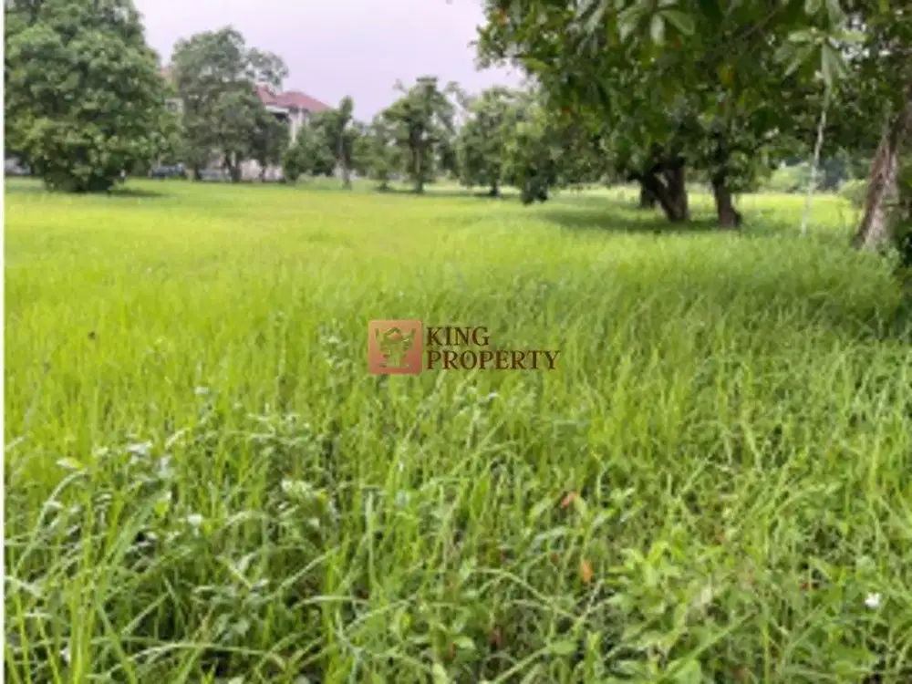 Kapan Lagi? Tanah Luas 2,4 Hektar Lahan Strategis di Kebagusan Jaksel Siap Bangun Sekarang