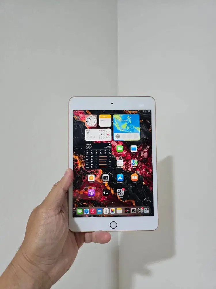 Apple iPad Mini 5 256GB 256 GB Wifi Only 5th Gen 2019 Mantap