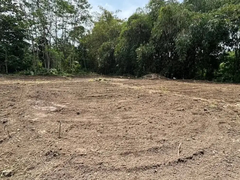 Tanah Siap AJB 5 Menit Pengadilan Negeri Sleman