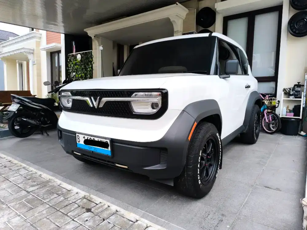 Over Credit Vinfast VF3 2025