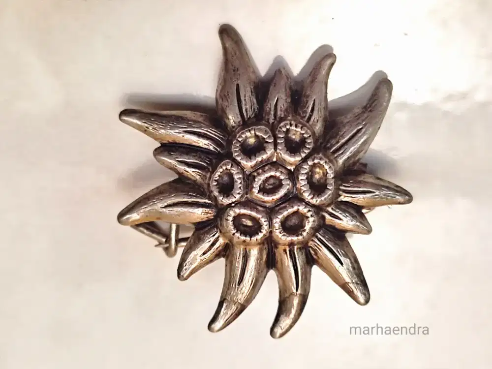 Bros edelweis eropa kuno antik jadul vintage