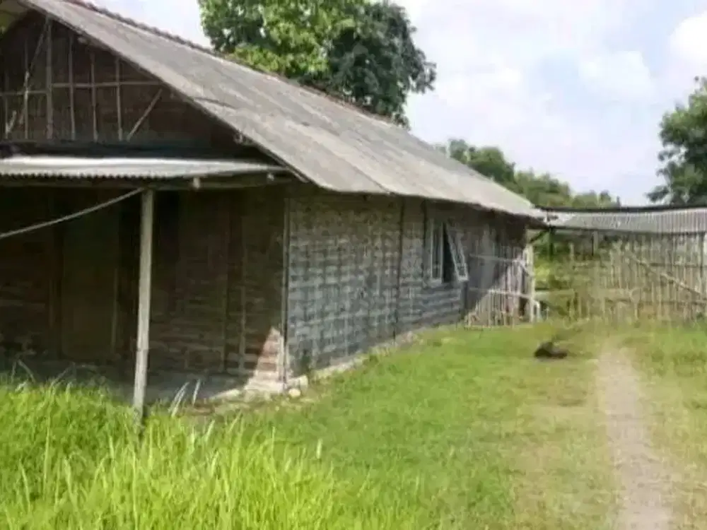 Tanah Industri Murah di Wringin Anom Gresik. Dekat Legundi By Pass Krian