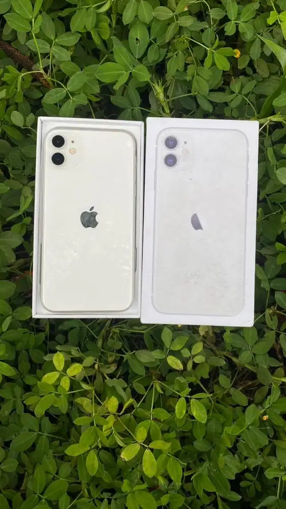 Iphone 11 64 all operator