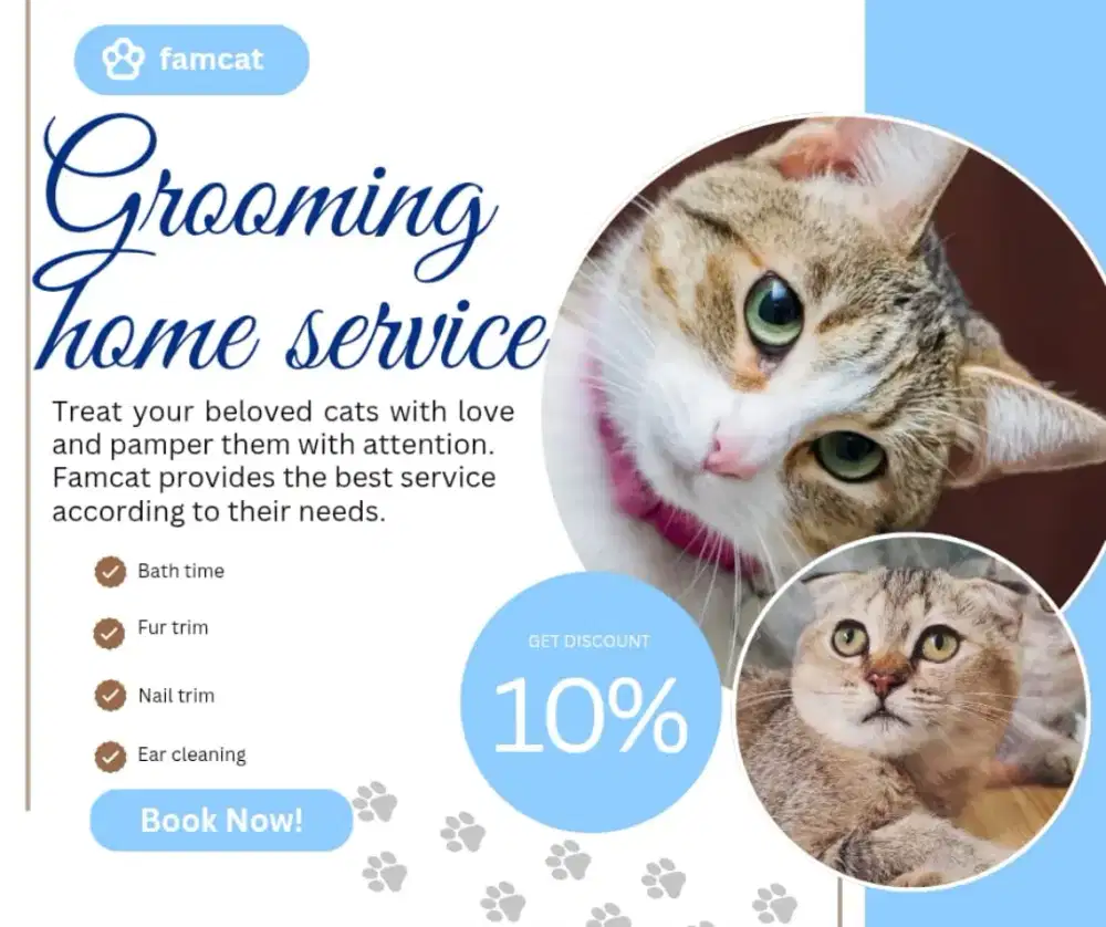 Grooming homecall || jasa grooming panggilan
