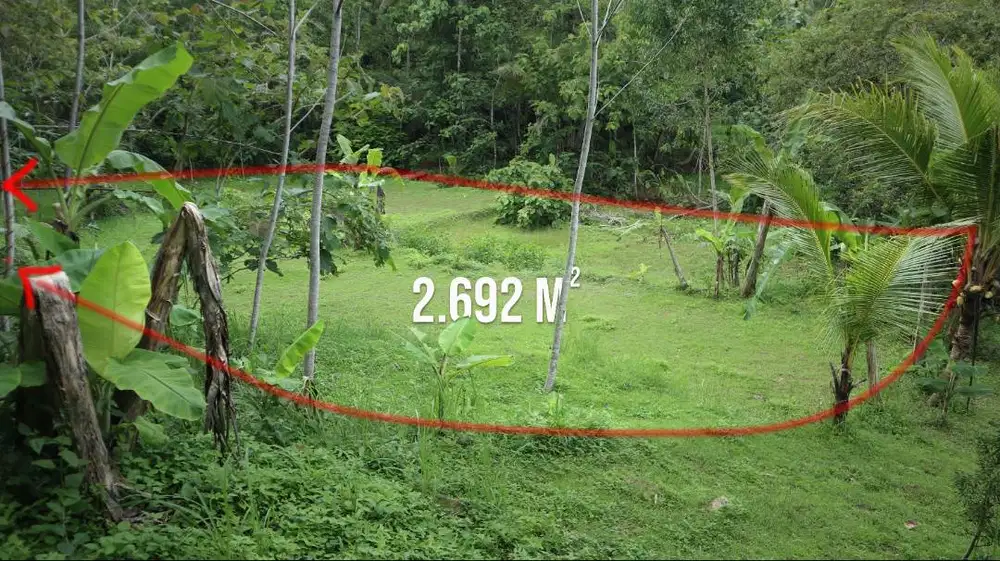 Dijual Tanah Pekarangan 2.692 m2 Datar & Subur Cocok Kebun/Peternakan