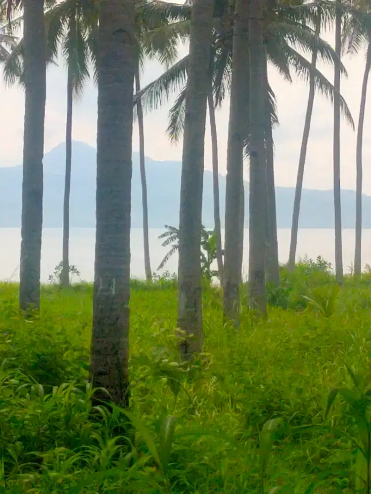 Jual tanah di banyuwangi