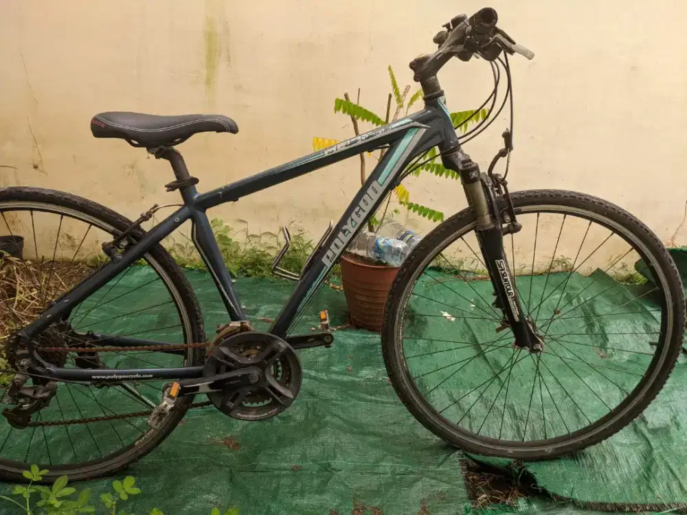 Sepeda polygon nex 4110