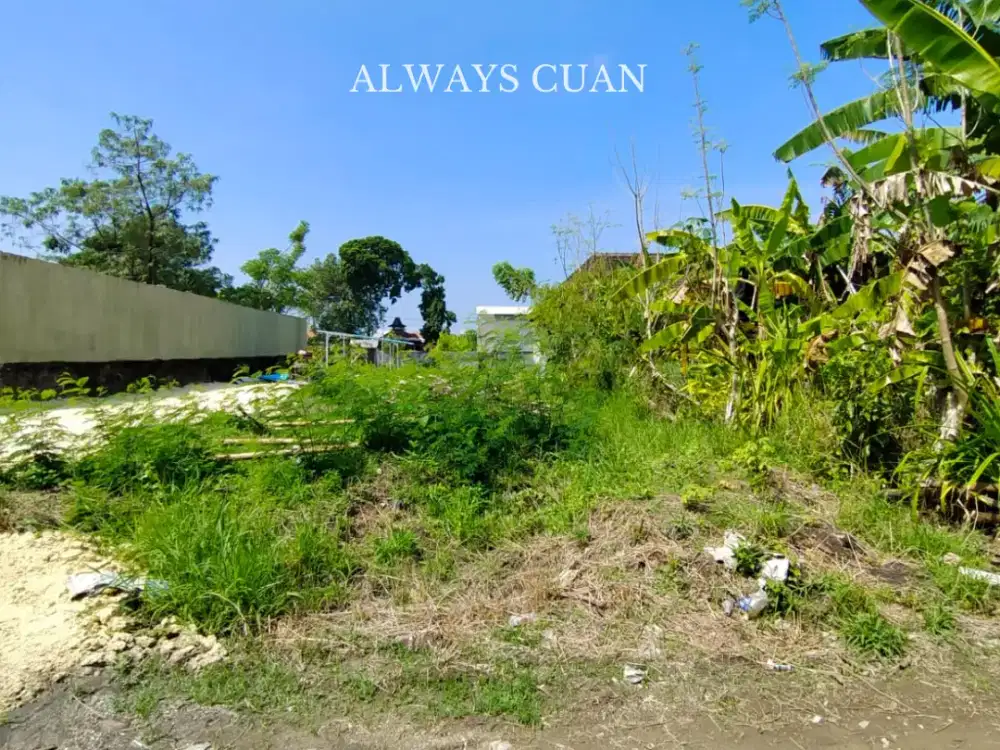 Tanah Luasan Kecil Lokasi Jl Raya Uma Buluh, Canggu Dijual