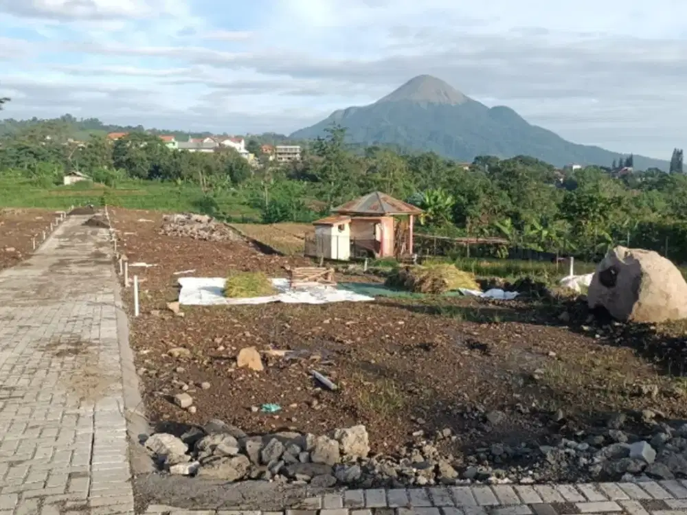 Tanah Murah  Prigen